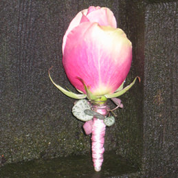 Anstecker für Bräutigam - Rose rosa - Blumen Eder